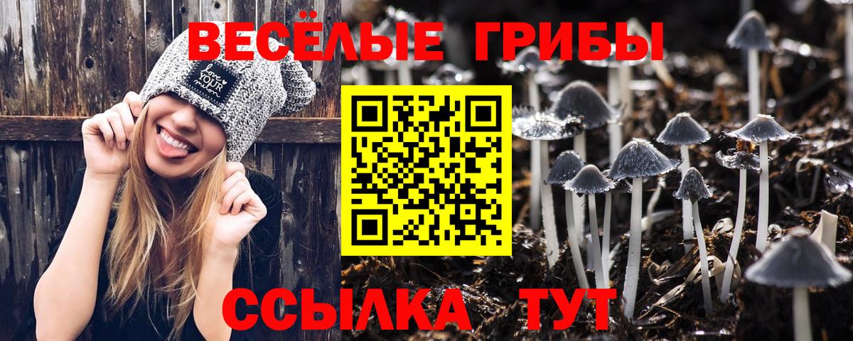 Псилоцибиновые грибы Psilocybe  Вход с VPN  Псилоцибиновые грибы прущие грибы  Сургут 